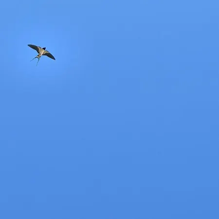 Enara Konukevi Hendaye