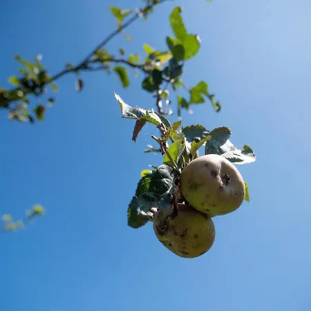 Enara Konukevi Hendaye