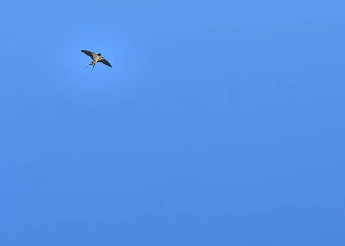 Enara Pensión Hendaya