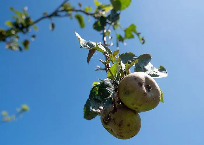 Enara Gæstehus Hendaye